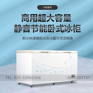 606FD家用小型卧式 冰柜超市顶开门冷藏柜 白雪冰箱商用冷柜BD