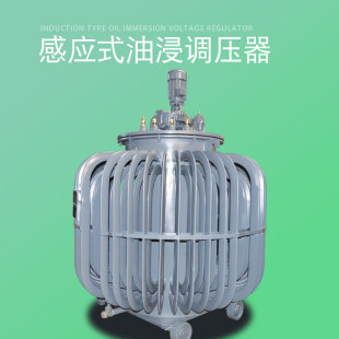 350KVA 三相稳压器TSJA 调压器0 650V隧道用三相油浸感应式 调压器