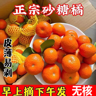 正宗广西金秋砂糖鲜甜多汁小桔子砂糖橘沙糖桔当季新鲜水果橘子