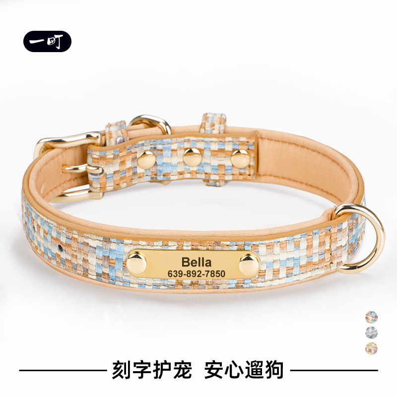 狗狗项圈狗脖圈中小型犬泰迪柯基外出狗脖套刻字防丢失外出牵引绳