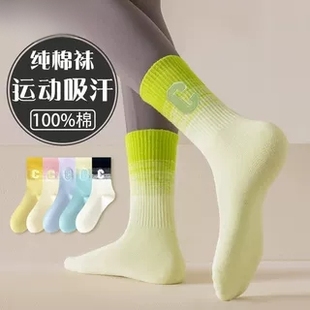 中筒纯棉跑步春夏薄款 三枪三枪长袜子女款 长筒彩色女袜女士配鲨鱼