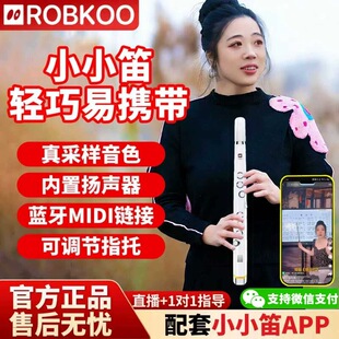 ROBKOO锣钹小小笛电吹管国产萨克斯笛子葫芦丝唢呐初学入门乐器