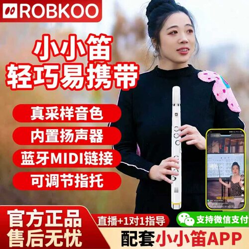 锣钹小小笛电吹管入门初学乐器