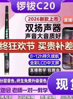 锣钹C20电吹管2026新款旗舰店电子吹管萨克斯笛子葫芦丝乐器唢呐