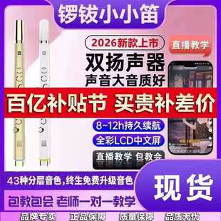 锣钹小小笛电吹管新款 中老年人萨克斯笛子 国产乐器大全官方正品