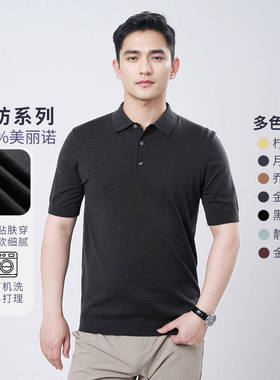 精纺可机洗100%羊毛polo领针织纯色百搭HM165
