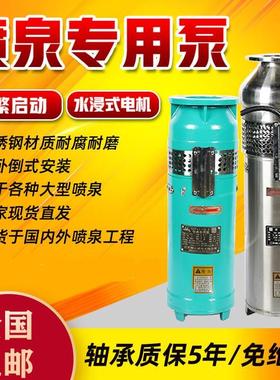 304不锈钢喷泉水泵QSP喷泉专用泵水景景观潜水泵变频电机喷泉泵