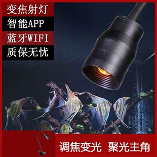 小鱼缸照射灯变焦鱼缸射灯南美造景专用照明灯原生三湖鱼缸灯小夹