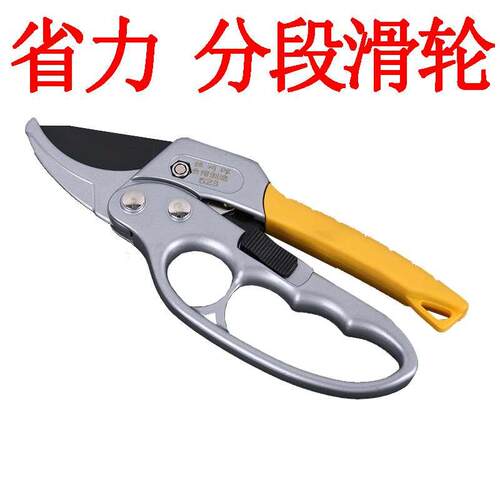 花剪修枝剪树枝剪刀园艺剪刀粗枝剪果树剪五金工具花艺果枝剪葡萄