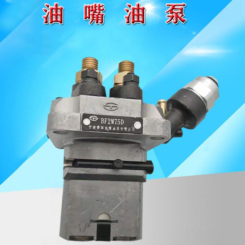 喷油泵 油嘴油泵BF2M75 BFG2M75 BF2M75D BFG2K75 BFG2M75D液压泵