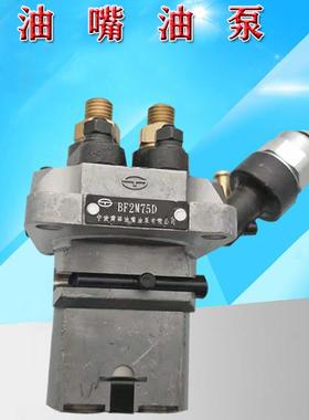 喷油泵 油嘴油泵BF2M75 BFG2M75 BF2M75D BFG2K75 BFG2M75D液压泵