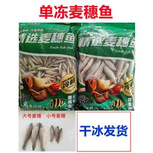 包邮冰鲜冷冻北水单冻麦穗鱼泥鳅红虫河虾龙虎魟鱼罗汉银龙鱼饲料