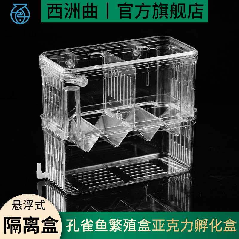 孔雀鱼繁殖盒鱼缸非亚克力隔离盒特大号产卵孵化产房小鱼苗幼大鱼图片