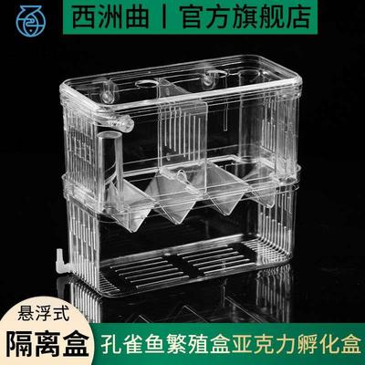孔雀鱼繁殖盒鱼缸非亚克力隔离盒特大号产卵孵化产房小鱼苗幼大鱼