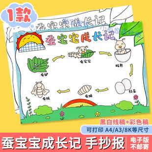蚕宝宝成长记观察蚕的一生自然笔记电子版小报手抄报线稿A4儿童画