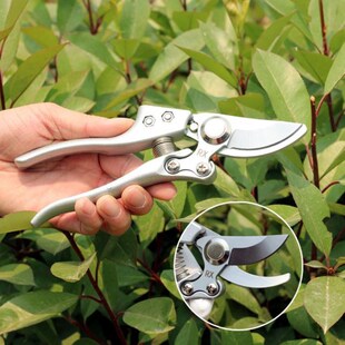 1 pcs Garden Scissors Grafting Tool Fruit Tree Pruning Shear