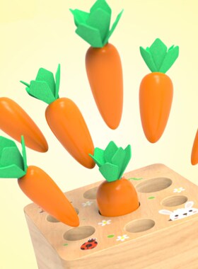 Kids Montessori Toys Block Set Alpinia Shape Matching Toys F