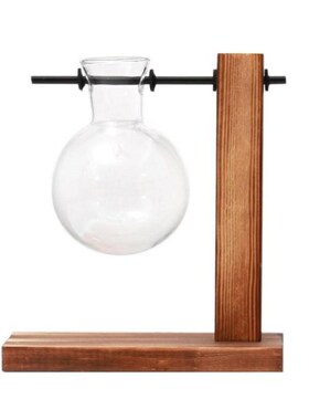 Hydroponic Plant Vases Vintage Flower Pot Transparent Vase W