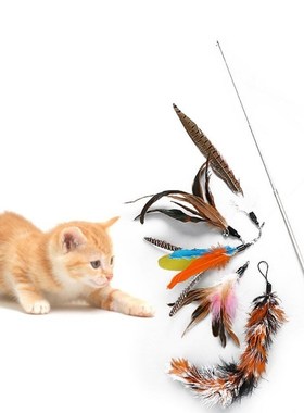 6 Pcs/set Retractable Funny Cat Stick Pet Supplies DIY Repla