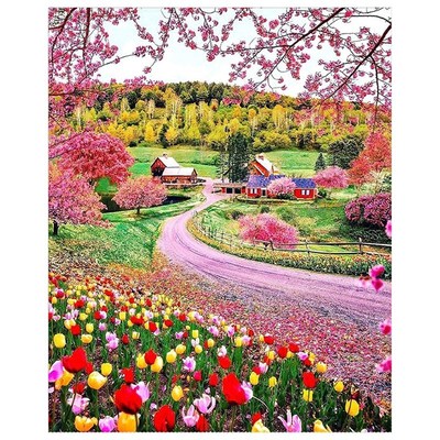 Diamond Paintings for Kids Kit Diamond Painting Countryside