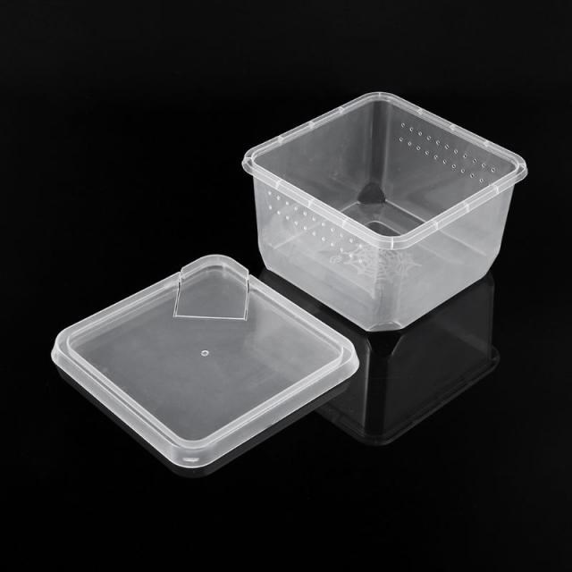 Reptile Terrarium Feeder Breeding Box Tortoise Spider Lizard - 实物图