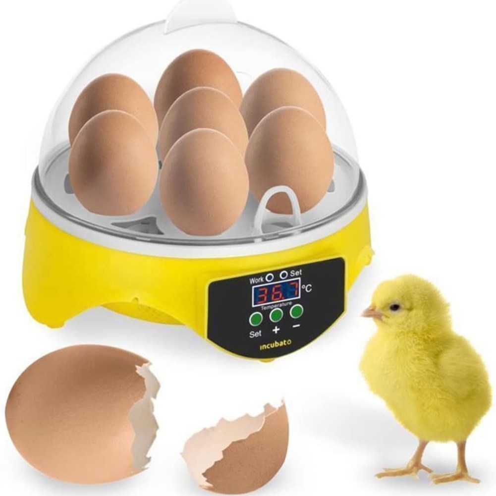 7 Eggs Incubator Chicken Bird Egg Incubator Automatic Intell