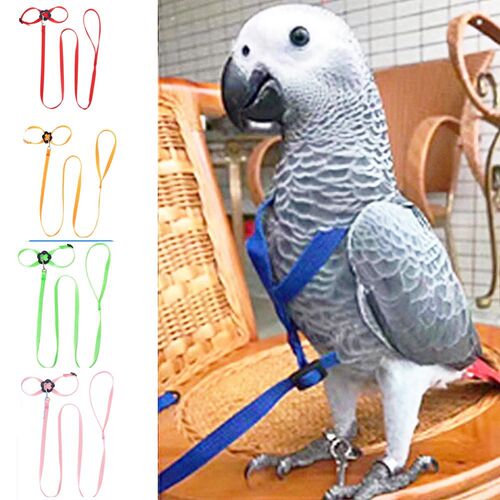 Pet Bird Harness and Leash Adjustable Parrot Bird Harness Le