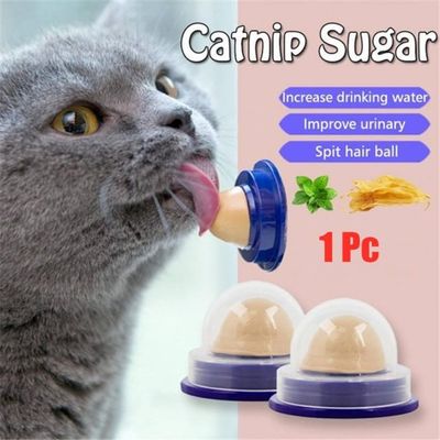 2PCS Cat Nip Sugar Solid Catnip Sugar Long Strong Pill Energ