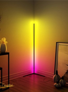 Modern LED Floor Lamp RGB Floor Light Colorful Bedroom Dinin