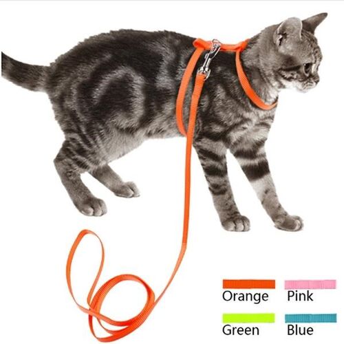 Harness & Leash Set Adjustable Nylon Collar Lead Rabbit