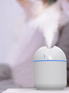 2 Modes Mist Spraying Air Humidifier USB Aromatherapy Essent