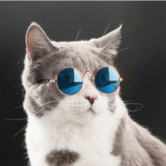 Pet Products Lovely Vintage Round Cat Sunglasses Reflection