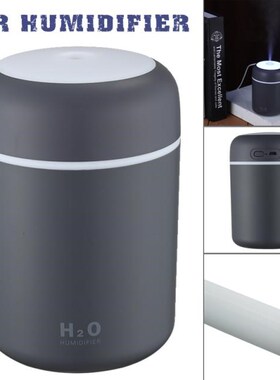 USB Silent Air Humidifier Aroma Diffuser Cool Mist Maker Hum