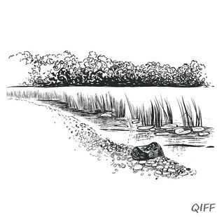 Shoal Silicone Clear Seal Stamp DIY Scrapbooking Embossing P