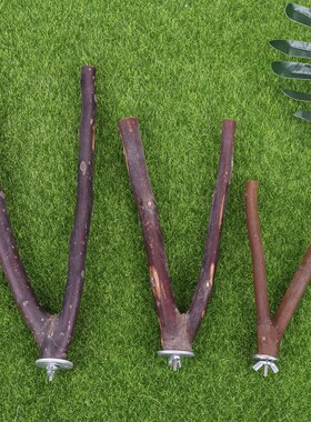 Parrot Bite Toys Raw Wood Fork Tree Branch Stand Rack Squirr