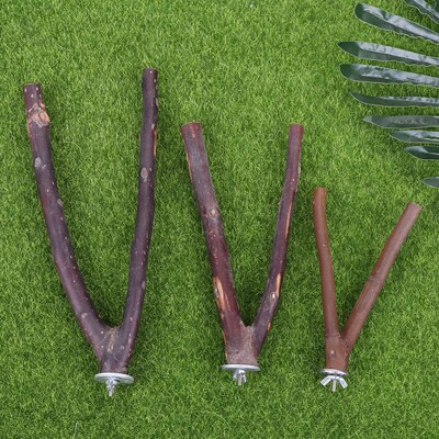 Parrot Bite Toys Raw Wood Fork Tree Branch Stand Rack Squirr