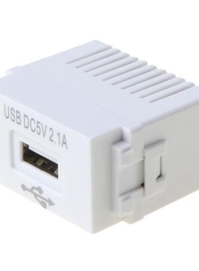 220V to 5V 1A USB Interface Adapter Switching Module 2.1A US