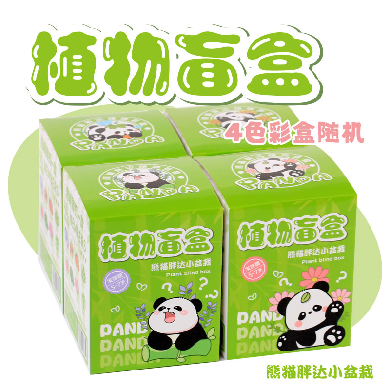 小学毕业礼物熊猫种植盆栽