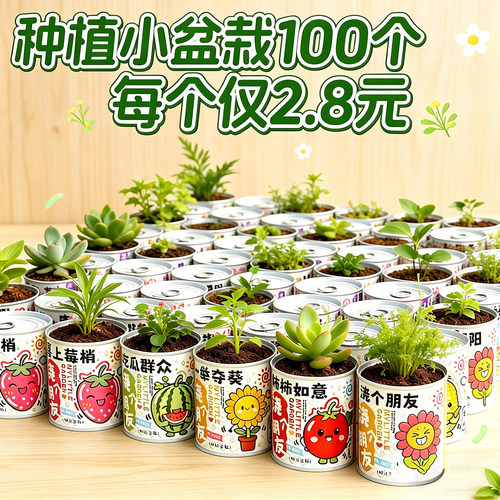 六一儿童节礼物盲盒种植小盆栽