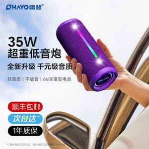 雷登x10 蓝牙音箱35W大音量高音水小型音响质重低音炮户外便携防