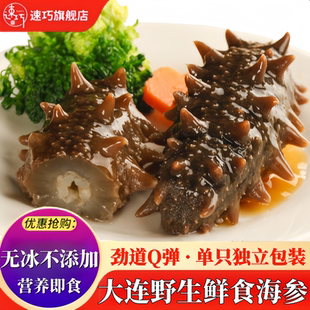 【无冰衣】大连鲜食海参即食海参鲜活辽参新鲜刺参营养速食单只装