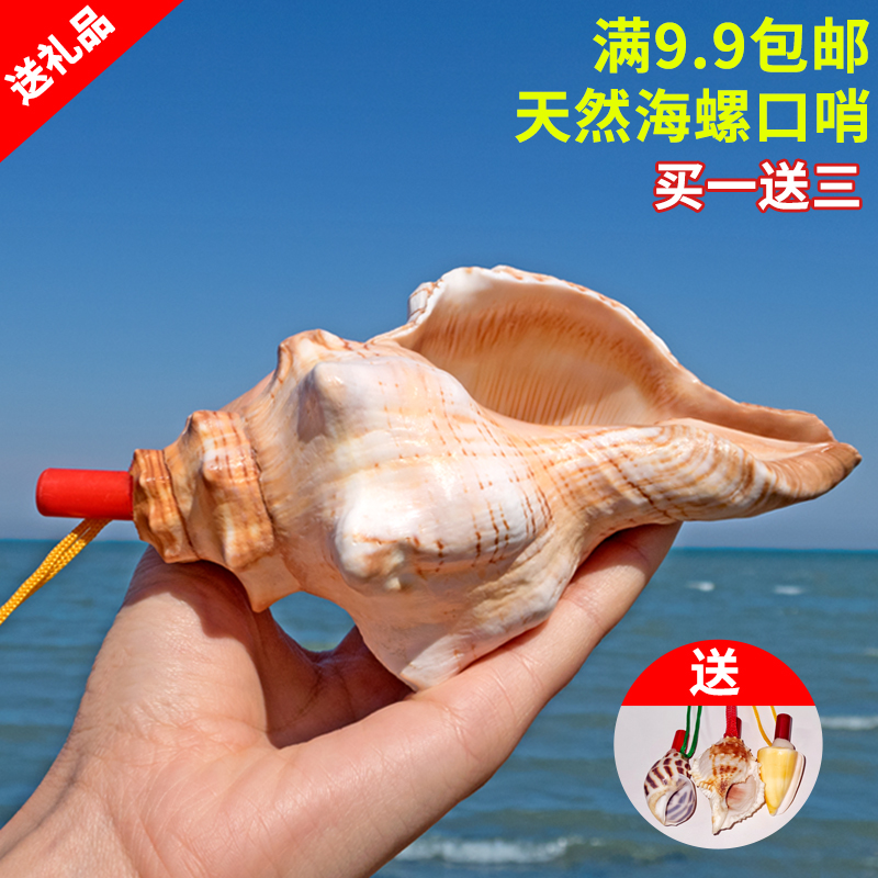 天然大海螺贝壳口哨工艺品响螺号儿童玩具喇叭可吹响哨子创意礼物