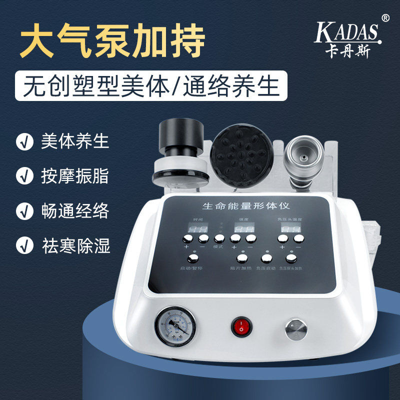 生命能量电动刮痧仪四季养生dds生物砭石经络推疏通按摩器+精油升