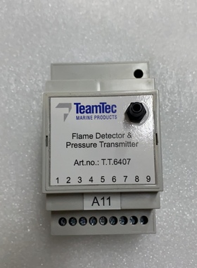TeamTec 压力变送器 T.T.6407 火焰检测器全新现货议价
