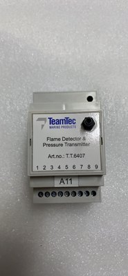 TeamTec 压力变送器 T.T.6407 火焰检测器全新现货议价