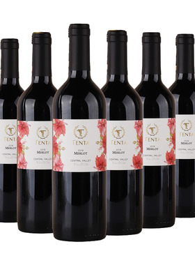 天帕TENTA 智利中央山谷原装进口 花标梅洛干红葡萄酒750ml*6整箱