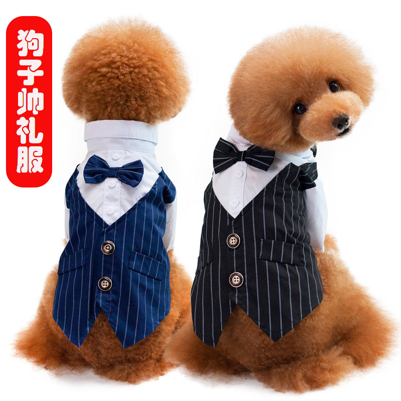 新物比熊柯基泰迪狗衣服春秋装小b狗西装礼服猫咪衣服狗狗婚纱小