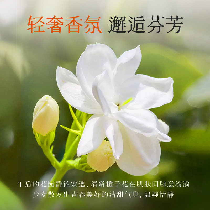 新款推荐栀子花精油香氛维生素e尿素护手霜清爽滋润补水保湿手霜