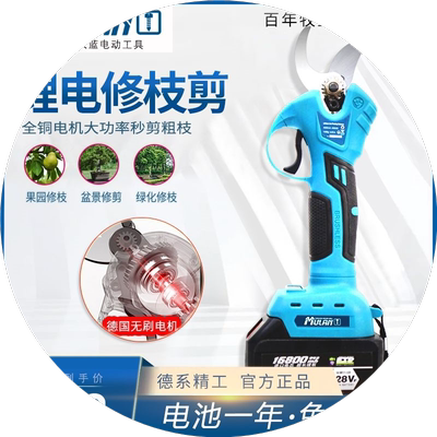 电剪刀剪树枝果树充电式电动修枝剪树枝剪刀锂电池专用园艺电枝剪