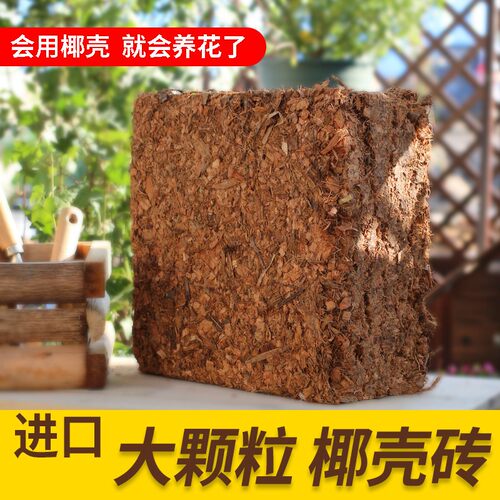 印尼进口大椰壳砖保水透气养根